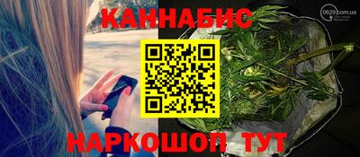 крисы Ирбит