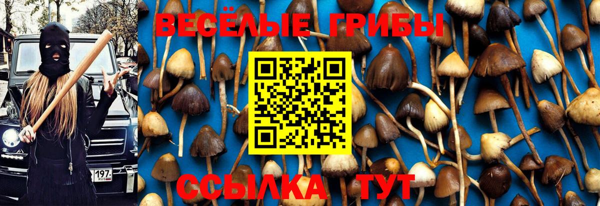 Ленинск-Кузнецкий  где продают   Вход с VPN  Псилоцибиновые грибы GOLDEN TEACHER 